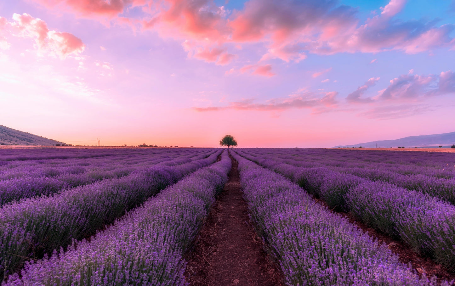 Feel. The Charm of France